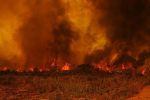 Mudanças climáticas e desmatamento intensificam incêndios no Pantanal