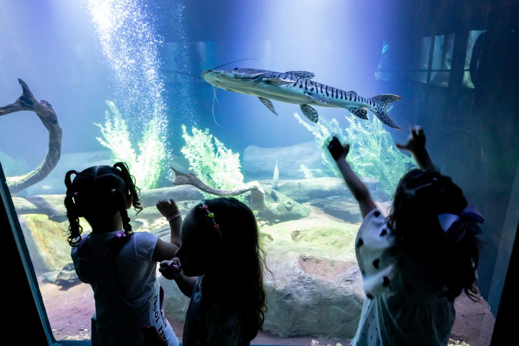 Foto: Emanoele Daiane