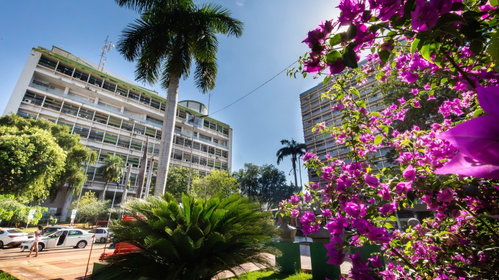 Foto: Emanoele Daiane