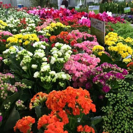 Foto: Reprodução/ Instagram