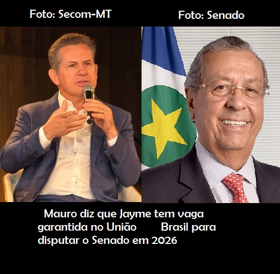 Foto: Montagem