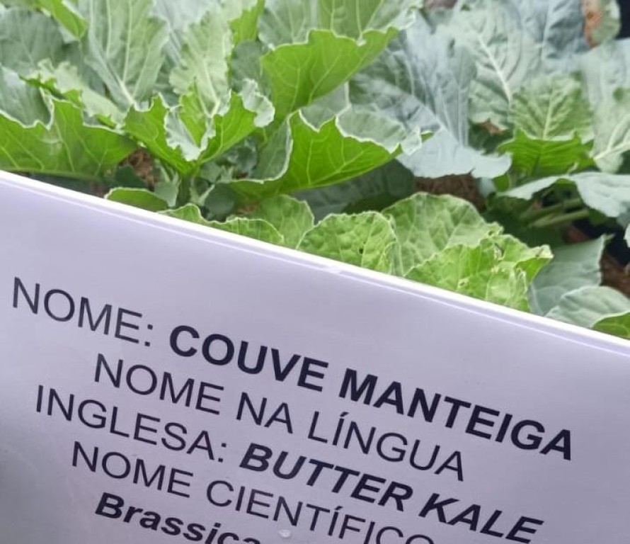 Foto por: Assessoria | Seduc-MT