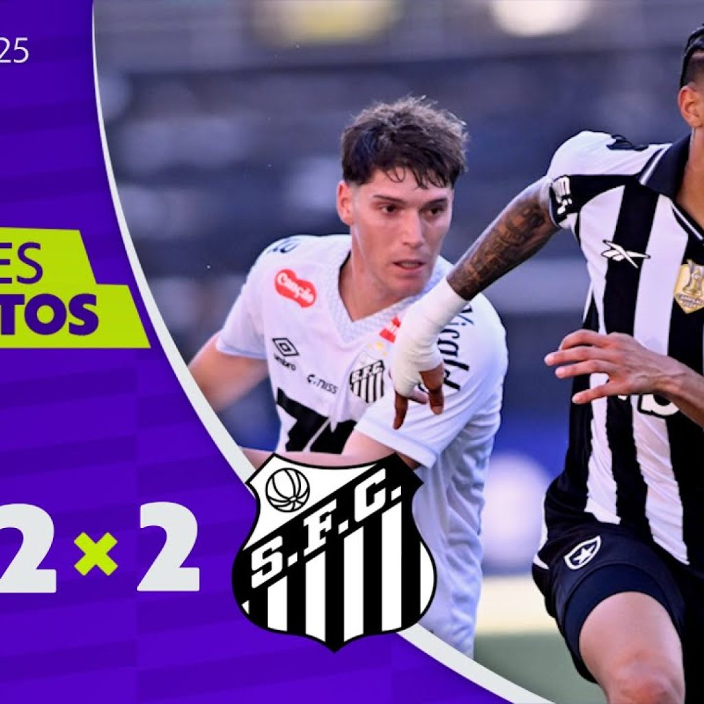 BOTAFOGO 2 X 2 SANTOS | MELHORES MOMENTOS | 30ª RODADA BRASILEIRÃO 2025 | ge.globo