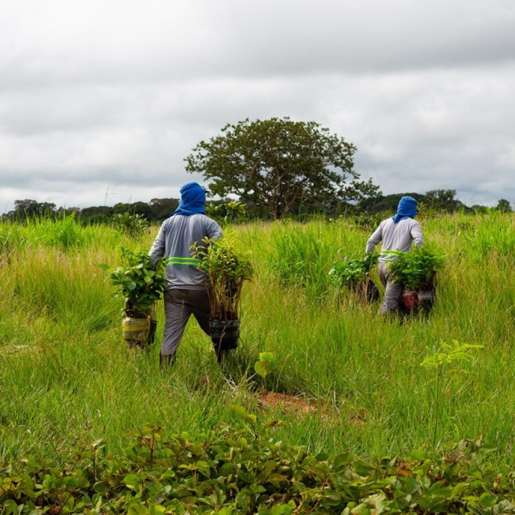 Sema e parceiros lançam segundo lote do Programa Todos pelo Araguaia nesta quinta-feira (23)